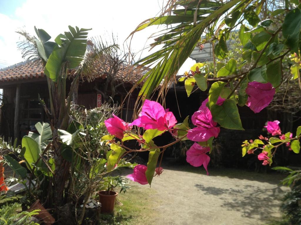Nakijin No Yado Hibiscus Hotel Luaran gambar